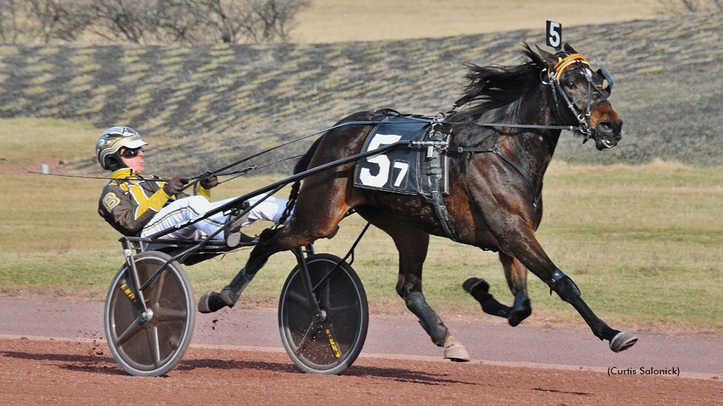 Cantstop Yankee winning at Pocono Downs