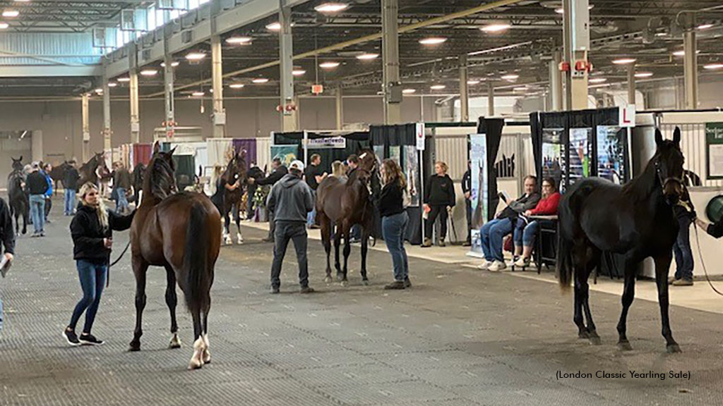 London Classic Yearling Sale