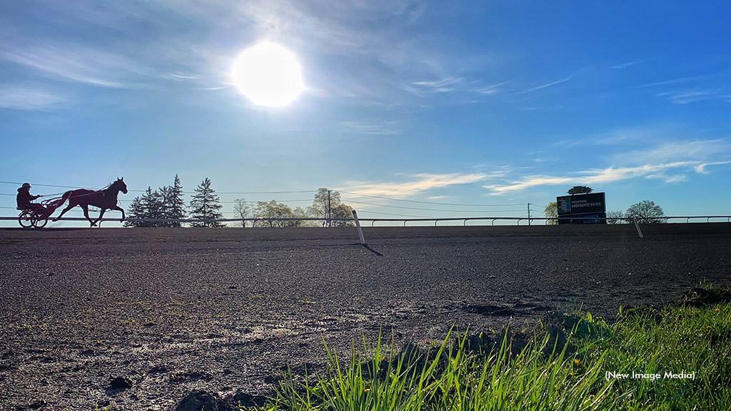 A Standardbred training at Woodbine Mohawk Park