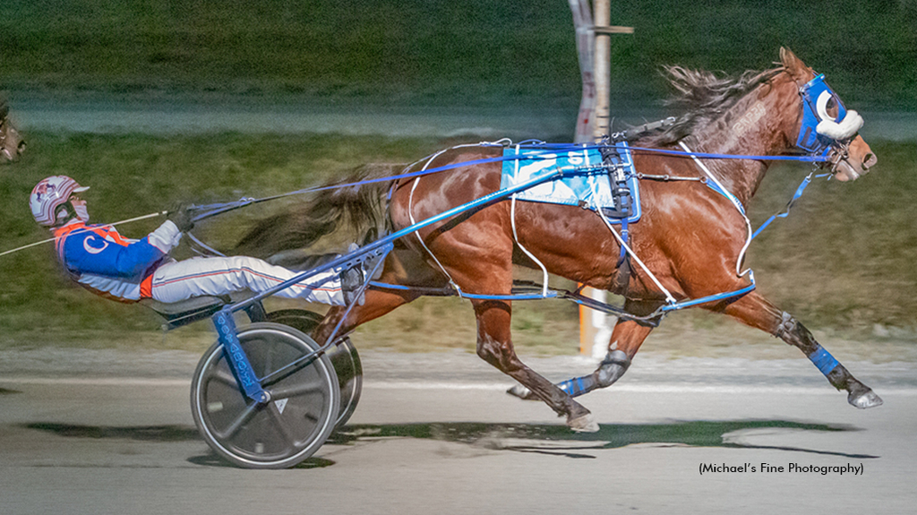 Outlaw C My Shadow winning at Fraser Downs