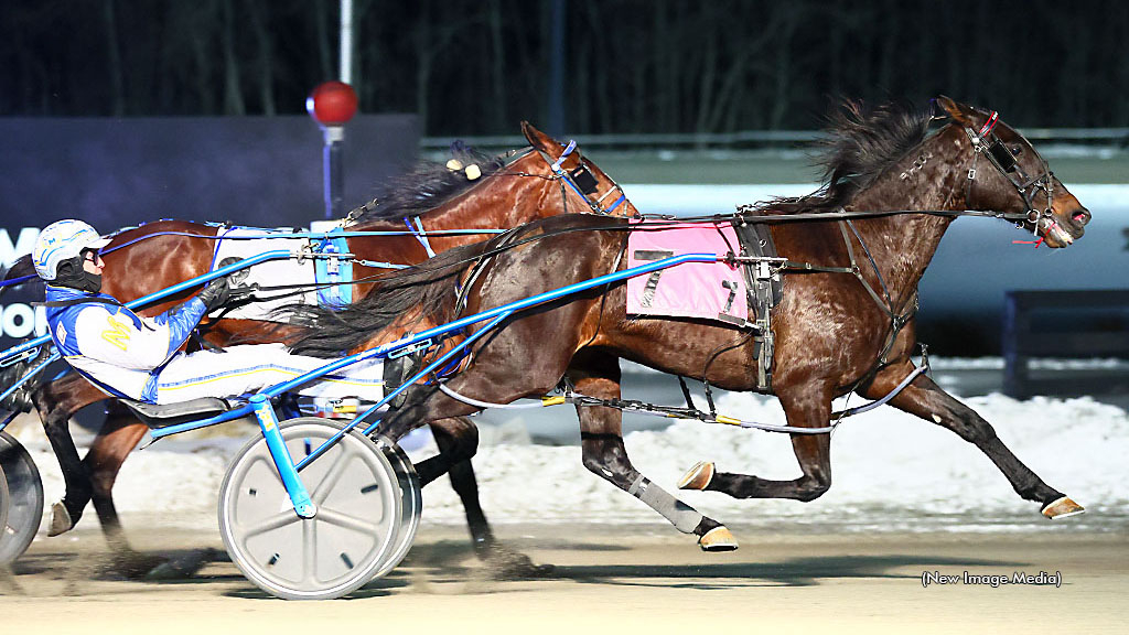 Parisian Blue Chip winning at Woodbine Mohawk Park