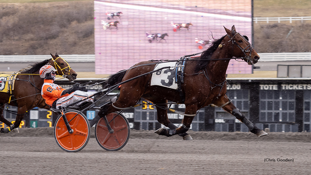 Sandbetweenmytoes winning at The Meadows