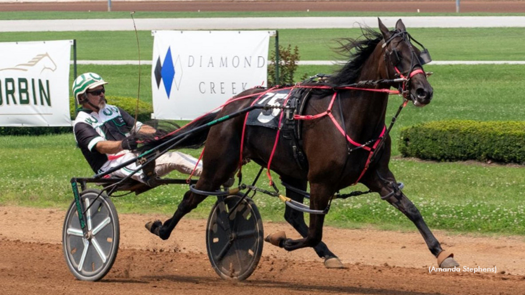 Single Girl winning at The Red Mile