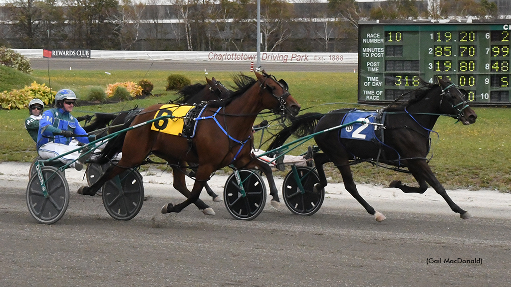 Tobins Diva winning the 2022 Atlantic Breeders Crown at Red Shores