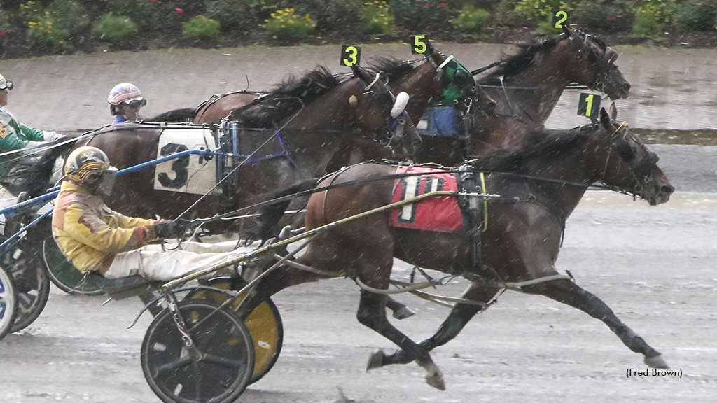 Buzzer winning at Tioga Downs