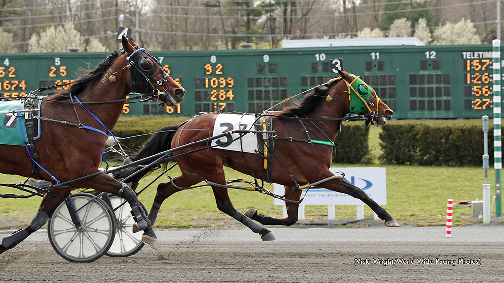 Dandy Idea winning at Freehold Raceway