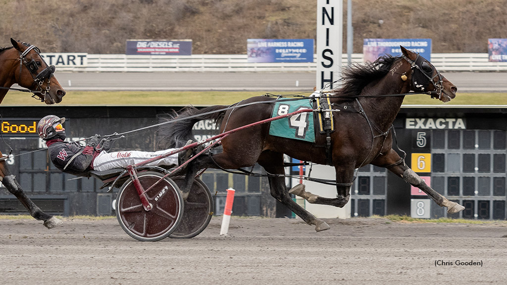 Hellabalou winning at The Meadows