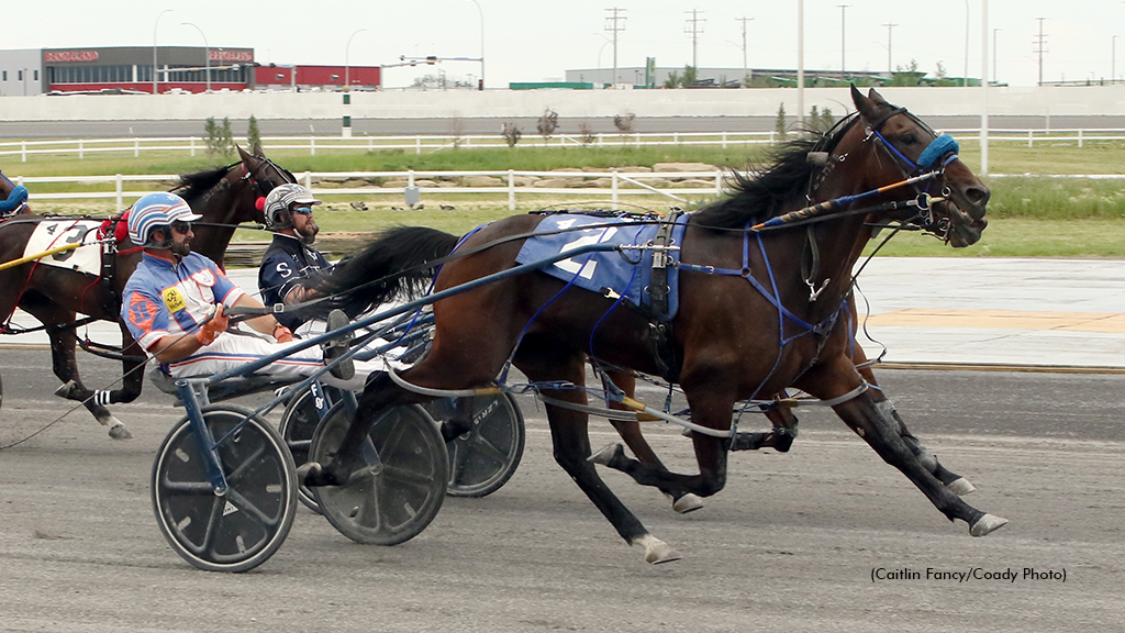 Shark Week winning at Century Downs