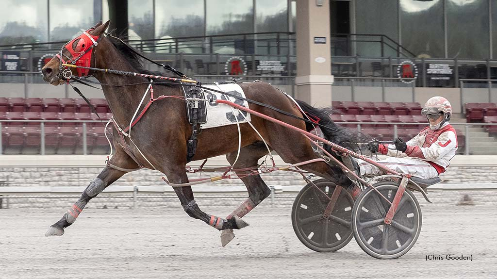 Shotguninthehotsun winning at The Meadows