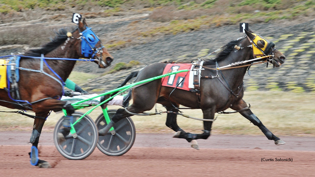 Toddler Tantrum winning at Pocono Downs