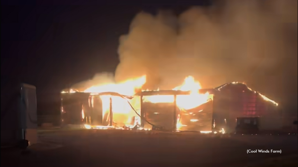 Barn fire at Cool Winds Farm