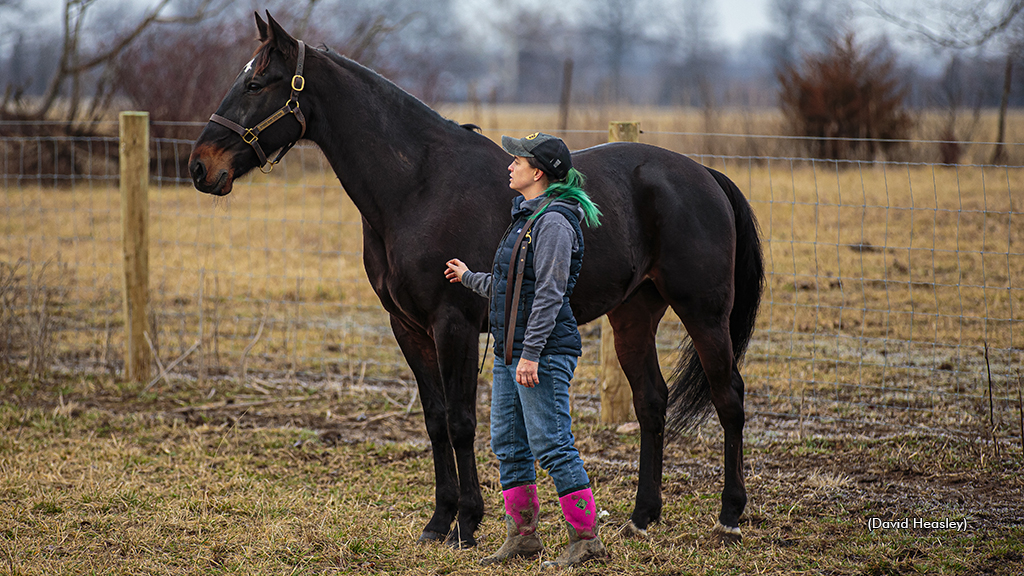 Retired Standardbred Latest Desire with trainer Bridget Heasley