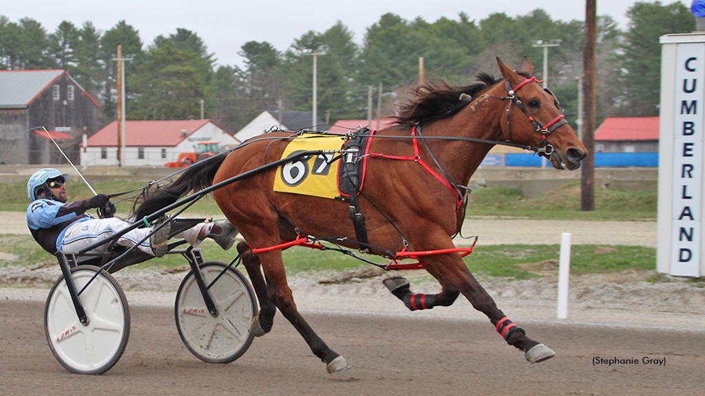 Lexus Witha View A winning at First Tracks Cumberland