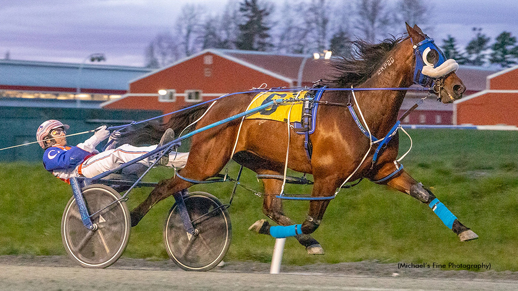 Outlaw C My Shadow winning at Fraser Downs