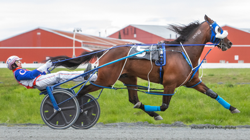 Outlaw C My Shadow winning at Fraser Downs