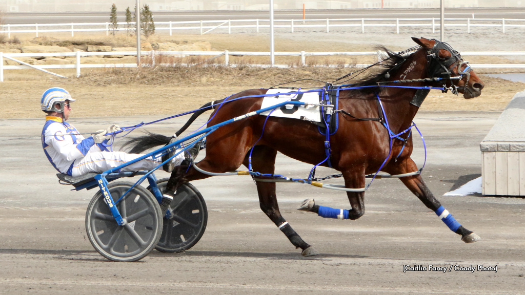 Stash The Cookies Scores; Sobey Triples | Standardbred Canada