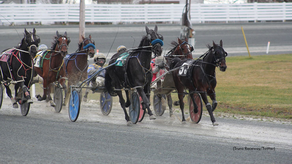 Harness racing at Truro Raceway