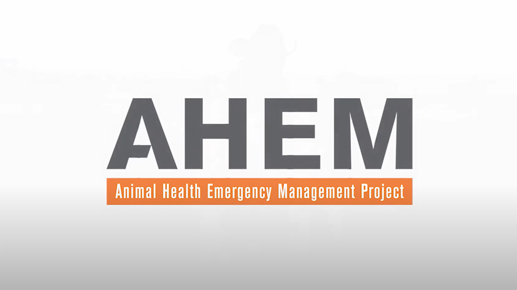 Animal Health Emergency Managament logo