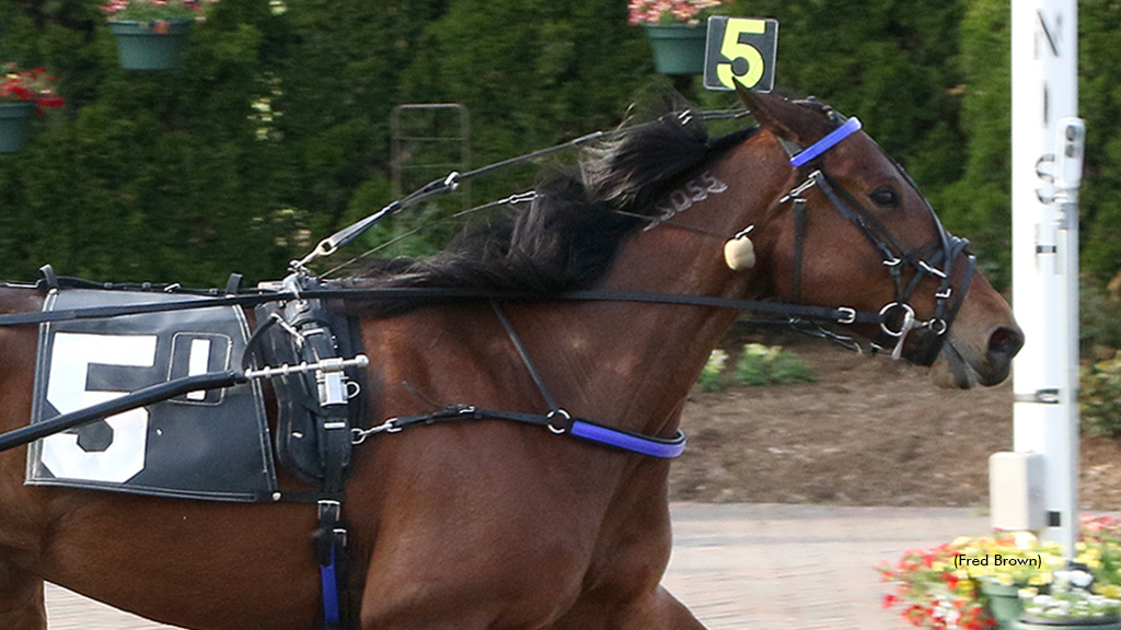 Abby Rose winning at Tioga Downs