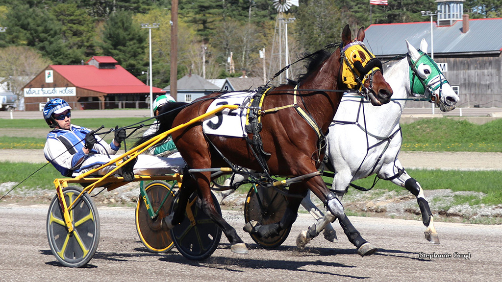 Baileys Legacy winning at First Tracks Cumberland