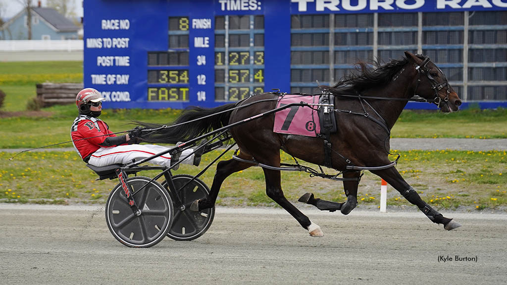 Batterup Hanover winning at Truro Raceway