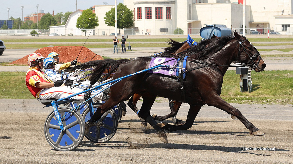 Capteur De Reve winning at Hippodrome 3R