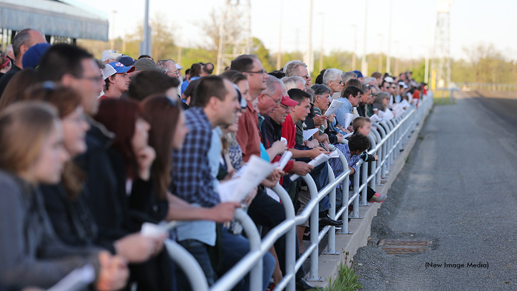 Harness racing fans watching at the rail