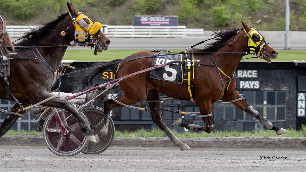 Lady Newton winning at The Meadows