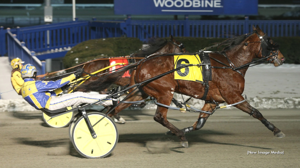 Magical Albert, winning at Woodbine