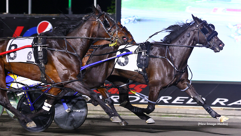 Mollop Hanover winning at Woodbine Mohawk Park