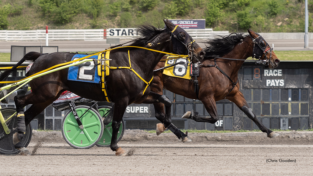 Mystical Peter winning at The Meadows