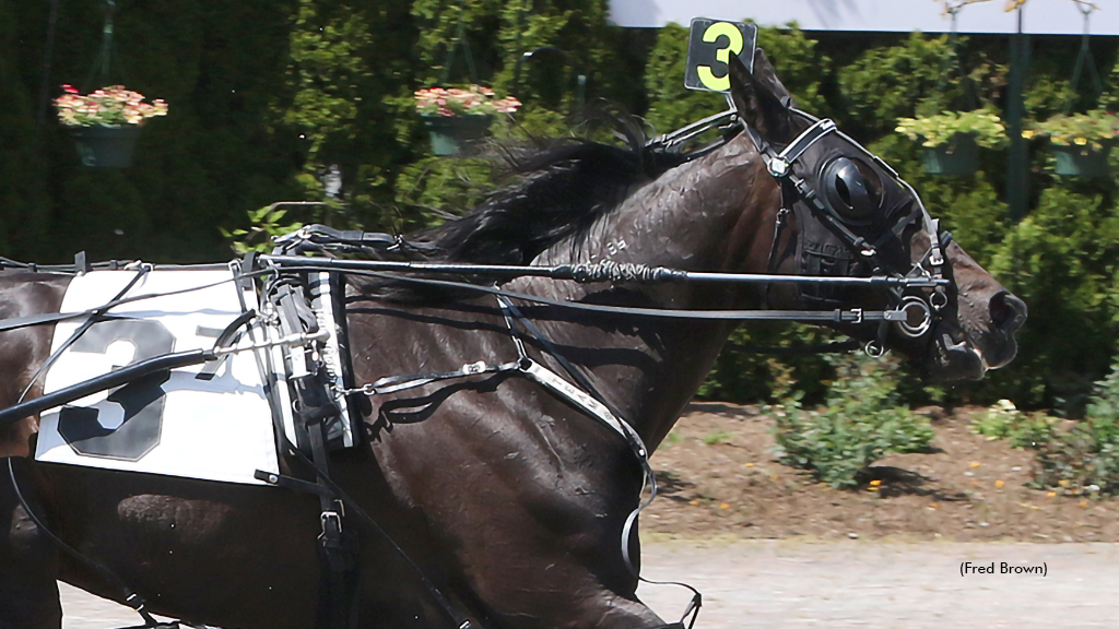 Prairie Panther winning at Tioga Downs