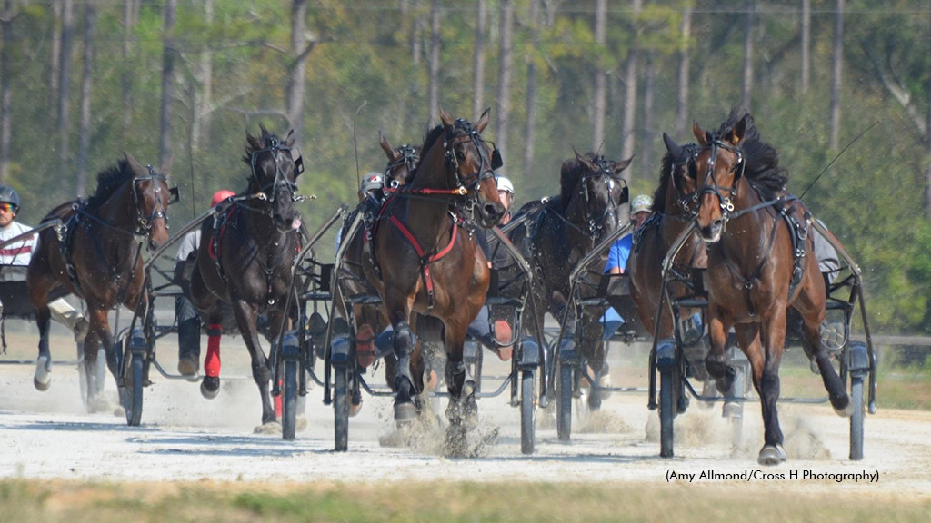 Two-year-olds in training