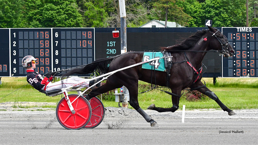 Angel Nation winning at Saratoga Raceway