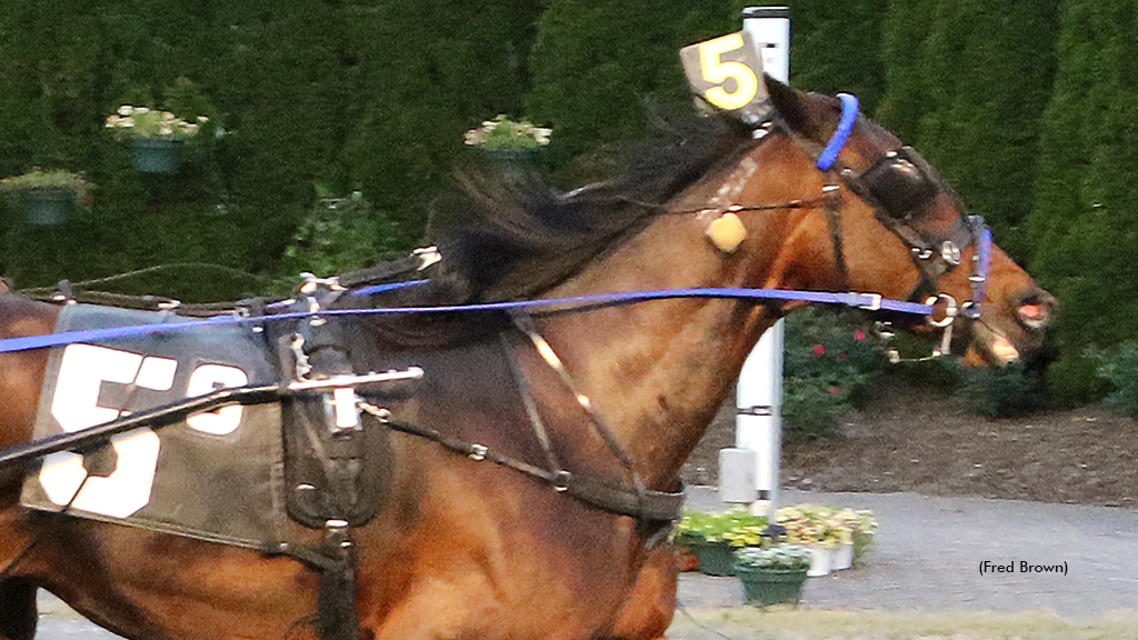 Arnies Angel winning at Tioga Downs