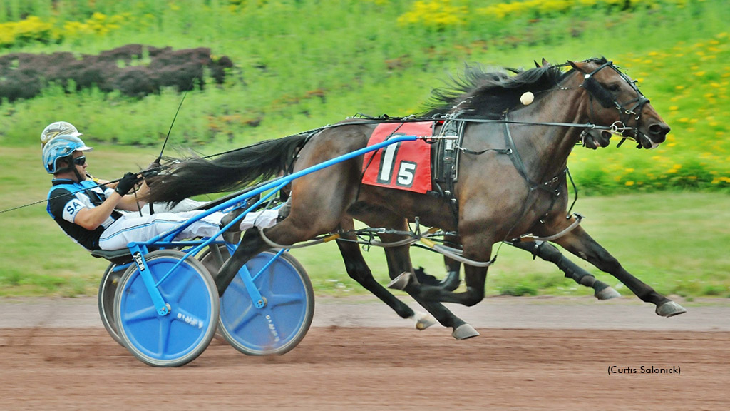 Binge On Yankee winning at Pocono Downs