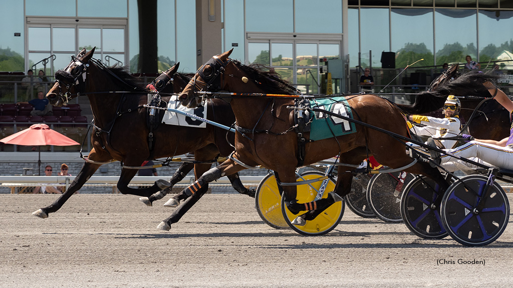 Four Wide N Flyin winning at The Meadows