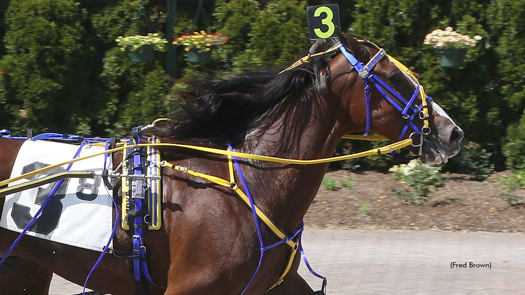 Get Lit winning at Tioga Downs