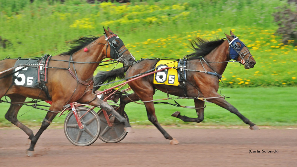 Im Hungry winning at Pocono Downs