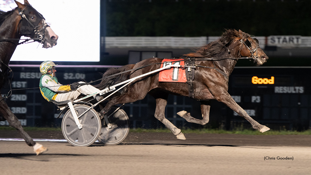 Joygo winning at The Meadows