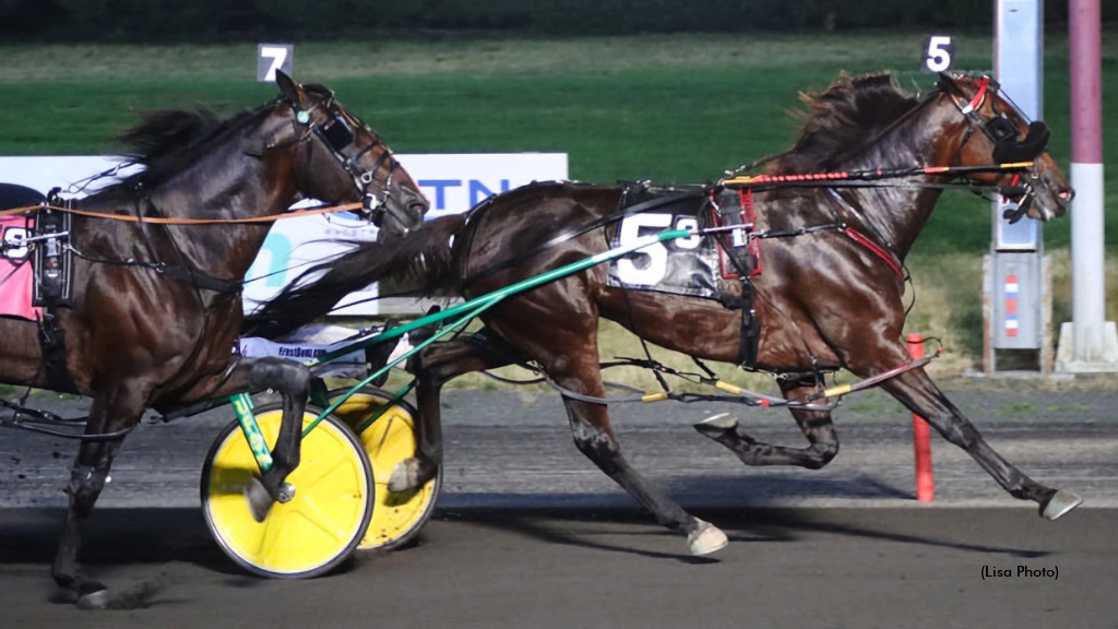 Mad Max Hanover