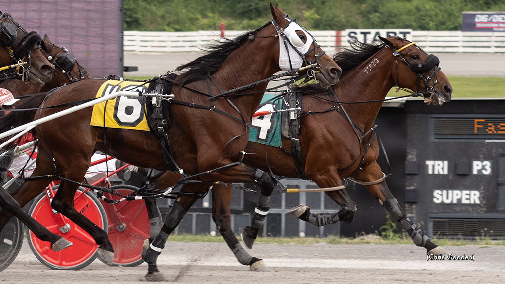 Outlittlemiracle winning at The Meadows