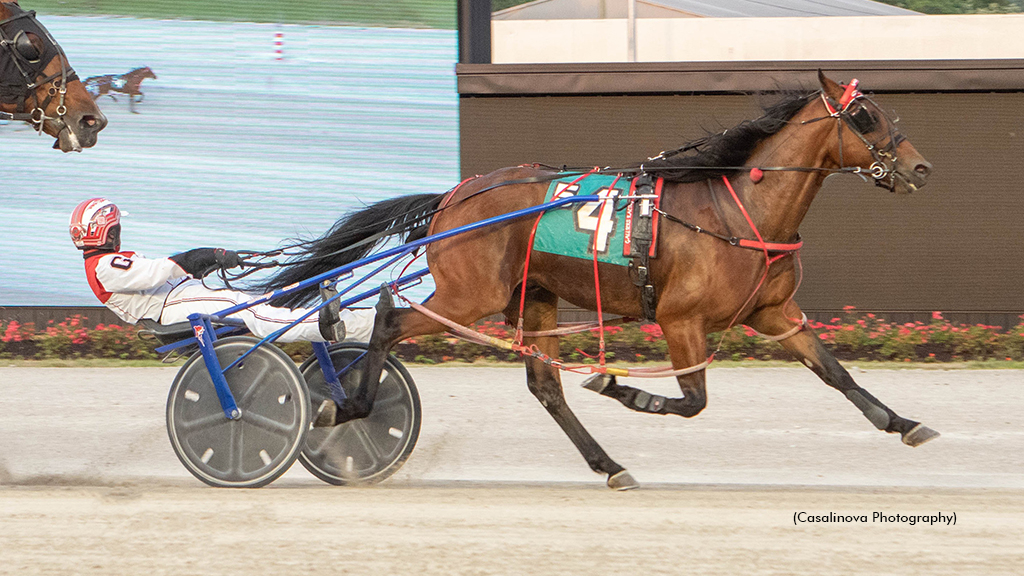 Primary Driver Repeats In Buckeye Stallion Series | Standardbred Canada