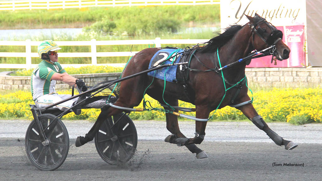 Rodman winning at Plainridge Park