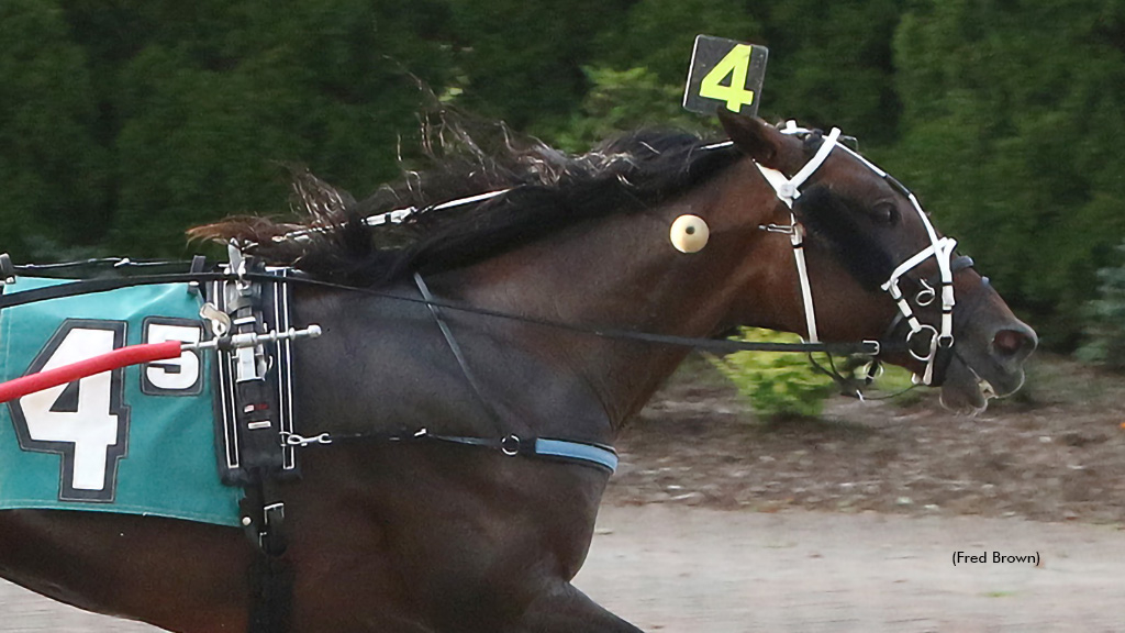 Believer winning at Tioga Downs