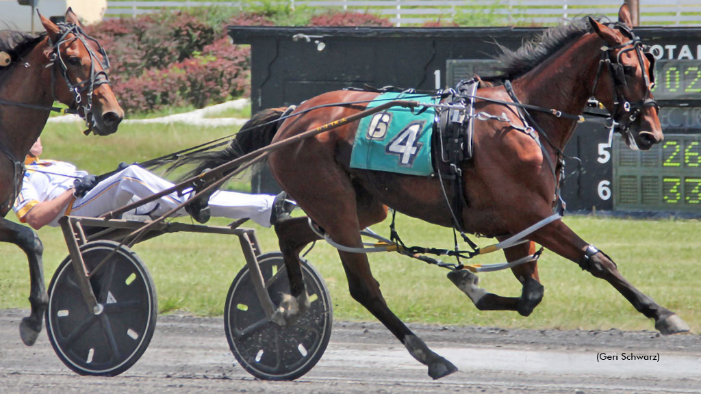 Bronx Barista winning at Monticello Raceway