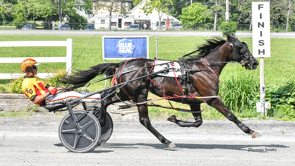 Mrs Foxy Roxy winning at Bangor Raceway