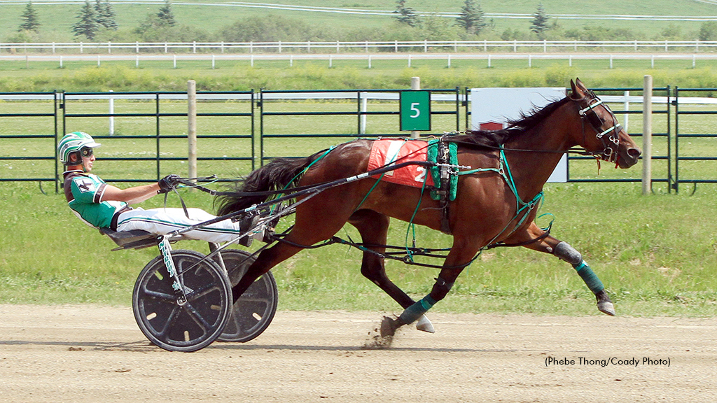 Snowpeak winning at The Track On 2