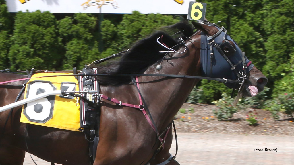 Stewartoftheland winning at Tioga Downs