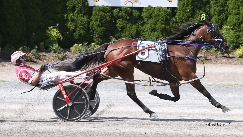 Twin B Joe Fresh, winning at Tioga Downs